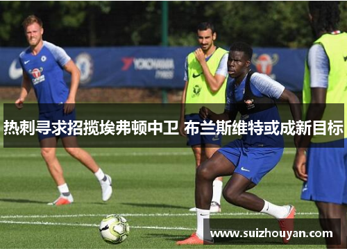 热刺寻求招揽埃弗顿中卫 布兰斯维特或成新目标